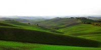 302 - CRETE SENESI - MARCHI FRANCO - italy